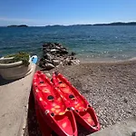 Sun &
